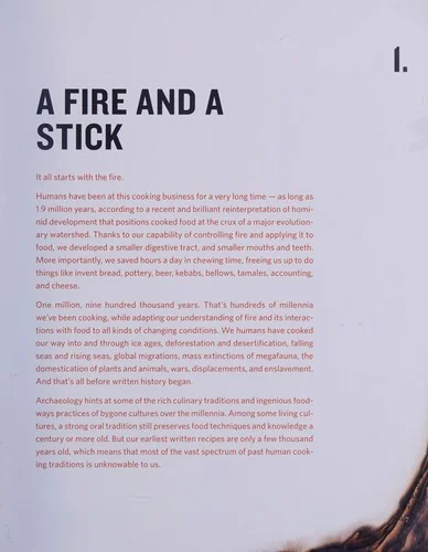 Cooking with Fire: From Roasting on a Spit to Baking in a Tannur, Rediscovered Techniques and Recipes That Capture the Flavors of Wood-Fired Cooking