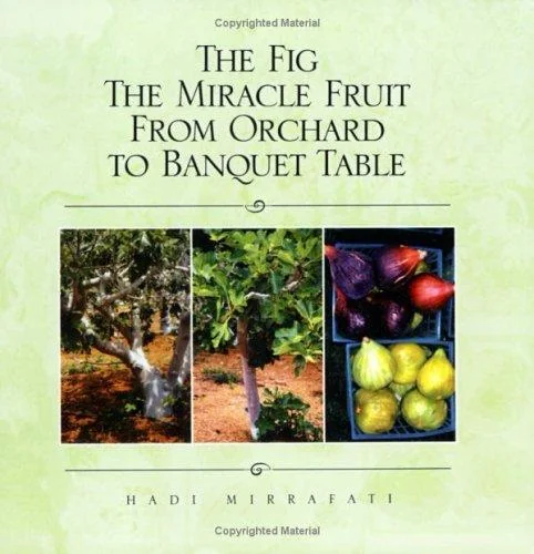 The Fig The Miracle Fruit From Orchard To Banquet Table