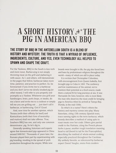 The South's Best Butts: Pitmaster Secrets for Southern Barbecue Perfection